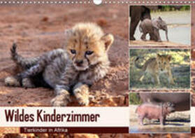 Herzog |  Wildes Kinderzimmer - Tierkinder in Afrika (Wandkalender 2021 DIN A3 quer) | Sonstiges |  Sack Fachmedien