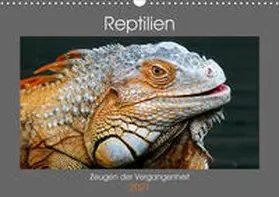 Herzog |  Reptilien - Zeugen der Vergangenheit (Wandkalender 2021 DIN A3 quer) | Sonstiges |  Sack Fachmedien