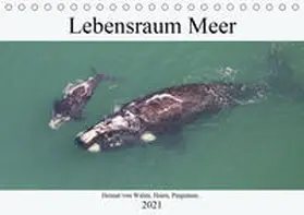 und Yvonne Herzog |  Lebensraum Meer - Heimat von Walen, Haien, Pinguinen... (Tischkalender 2021 DIN A5 quer) | Sonstiges |  Sack Fachmedien