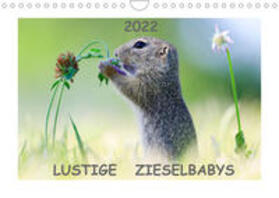 Lang |  Lang, W: Lustige Zieselbabys (Wandkalender 2022 DIN A4 quer) | Sonstiges |  Sack Fachmedien