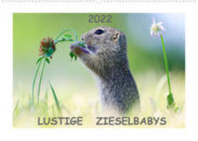 Lang |  Lang, W: Lustige Zieselbabys (Wandkalender 2022 DIN A2 quer) | Sonstiges |  Sack Fachmedien