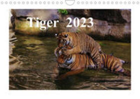 Hennig |  Hennig, J: Tiger  2023 (Wandkalender 2023 DIN A4 quer) | Sonstiges |  Sack Fachmedien