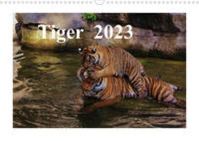 Hennig |  Hennig, J: Tiger  2023 (Wandkalender 2023 DIN A3 quer) | Sonstiges |  Sack Fachmedien