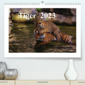 Hennig |  Hennig, J: Tiger  2023 (Premium, hochwertiger DIN A2 Wandkal | Sonstiges |  Sack Fachmedien