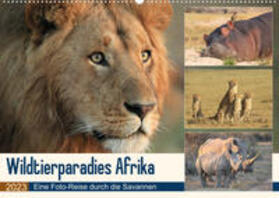 Herzog | Herzog, M: Wildtierparadies Afrika - Eine Foto-Reise durch d | Sonstiges | 978-3-674-44557-5 | sack.de