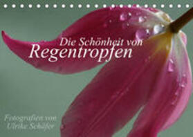 Schäfer |  Schäfer, U: Schönheit von Regentropfen (Tischkalender 2023 D | Sonstiges |  Sack Fachmedien