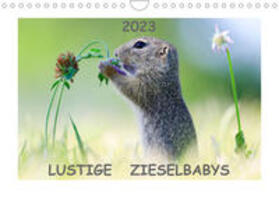 Lang |  Lang, W: Lustige Zieselbabys (Wandkalender 2023 DIN A4 quer) | Sonstiges |  Sack Fachmedien