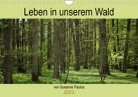 Paulus |  Paulus, S: Leben in unserem Wald (Wandkalender 2023 DIN A4 q | Sonstiges |  Sack Fachmedien