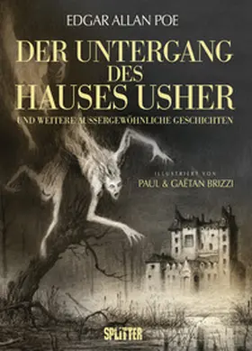 Poe |  Der Untergang des Hauses Usher (illustrierter Roman) | Buch |  Sack Fachmedien