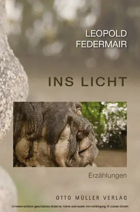 Federmair |  Ins Licht | eBook | Sack Fachmedien