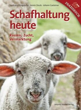 Ringdorfer / Deutz / Gasteiner |  Wirtschaftsgesetze (mit Fortsetzungsnotierung). Inkl. 108. Ergänzungslieferung | Loseblattwerk |  Sack Fachmedien