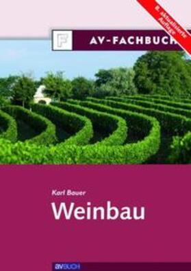 Bauer |  Weinbau | Buch |  Sack Fachmedien