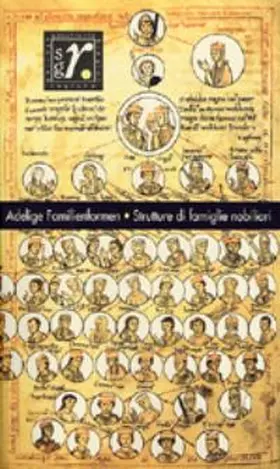 Albertoni / Pfeifer | Adelige Familienformen im Mittelalter/Strutture di famiglie nobiliari nel Medioevo | Sonstiges | 978-3-7065-1732-4 | sack.de