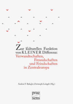 Balogh / Leitgeb | Zur kulturellen Funktion von kleiner Differenz: Verwandtschaften, Freundschaften und Feindschaften in Zentraleuropa | Buch | 978-3-7069-0916-7 | sack.de