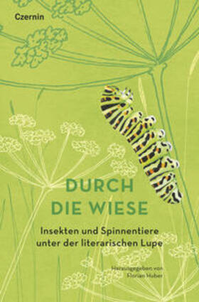 Huber |  Durch die Wiese | Buch |  Sack Fachmedien