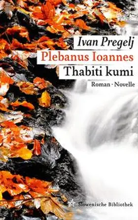 Pregelj / Köstler |  Plebanus Ioannes | Buch |  Sack Fachmedien