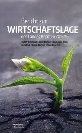 Wohlgemuth / Klinglmair / Aigner-Walder |  Bericht zur Wirtschaftslage des Landes Kärnten 2015/16 | Buch |  Sack Fachmedien