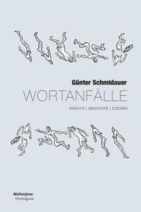 Schmidauer |  Wortanfälle | Buch |  Sack Fachmedien