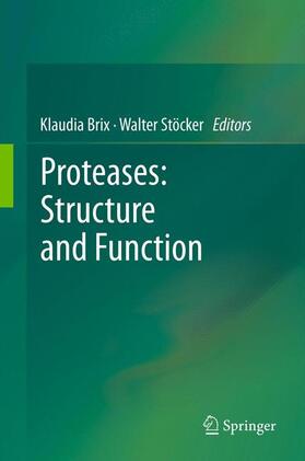 Stöcker / Brix |  Proteases: Structure and Function | Buch |  Sack Fachmedien