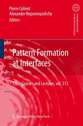 Nepomnyashchy / Colinet |  Pattern Formation at Interfaces | Buch |  Sack Fachmedien