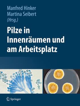 Hinker / Seibert |  Pilze in Innenräumen und am Arbeitsplatz | Buch |  Sack Fachmedien