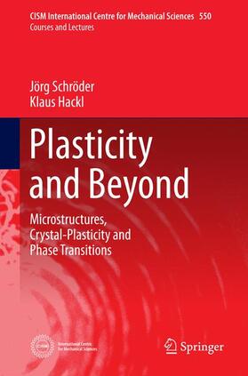 Hackl / Schröder |  Plasticity and Beyond | Buch |  Sack Fachmedien