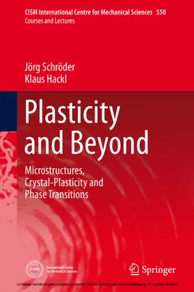 Schröder / Hackl |  Plasticity and Beyond | eBook | Sack Fachmedien