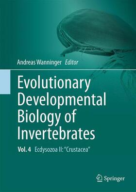 Wanninger |  Evolutionary Developmental Biology of Invertebrates 4 | Buch |  Sack Fachmedien