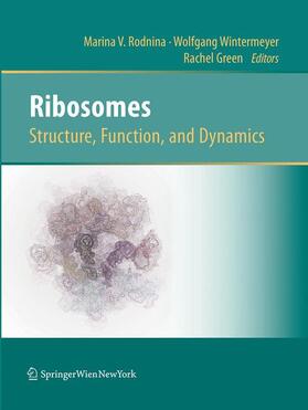 Rodnina / Green / Wintermeyer |  Ribosomes  Structure, Function, and Dynamics | Buch |  Sack Fachmedien