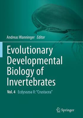 Wanninger |  Evolutionary Developmental Biology of Invertebrates 4 | Buch |  Sack Fachmedien