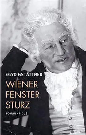 Gstättner |  Wiener Fenstersturz | Buch |  Sack Fachmedien