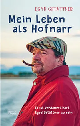 Gstättner |  Mein Leben als Hofnarr | Buch |  Sack Fachmedien