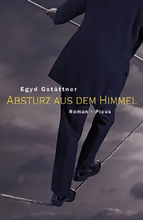 Gstättner |  Absturz aus dem Himmel | eBook | Sack Fachmedien