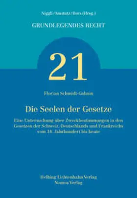 Schmidt-Gabain |  Die Seelen der Gesetze | Buch |  Sack Fachmedien