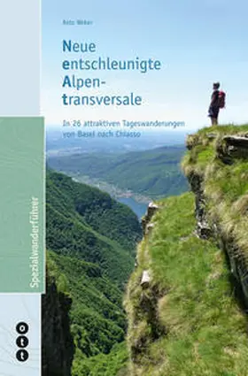 Weber |  Neue entschleunigte Alpentransversale (NEAT) | Buch |  Sack Fachmedien