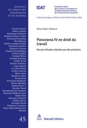 Wyler |  Panorama IV en droit du travail | Buch |  Sack Fachmedien