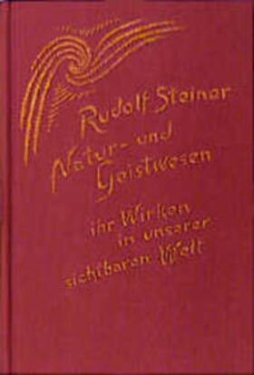 Steiner |  Natur- und Geistwesen, ihr Wirken in unserer sichtbaren Welt | Buch |  Sack Fachmedien