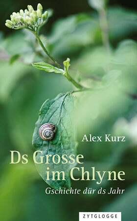 Kurz |  Ds Grosse im Chlyne | Buch |  Sack Fachmedien