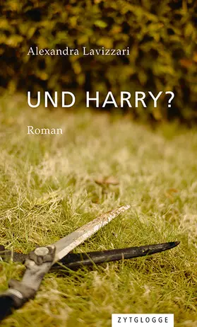 Lavizzari |  Und Harry? | Buch |  Sack Fachmedien