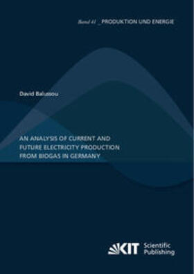 Balussou |  An analysis of current and future electricity production from biogas in Germany | Buch |  Sack Fachmedien