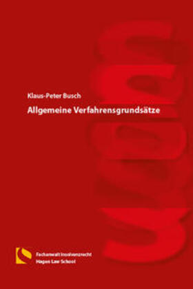 Busch |  Allgemeine Verfahrensgrundsätze | Buch |  Sack Fachmedien
