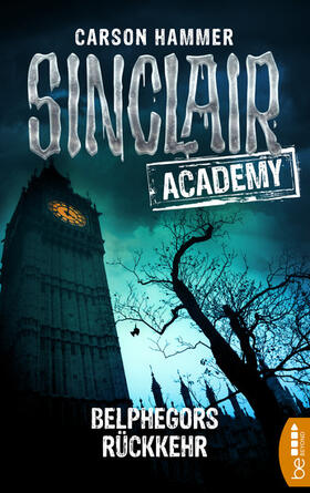 Hammer |  Sinclair Academy - 13 | eBook | Sack Fachmedien