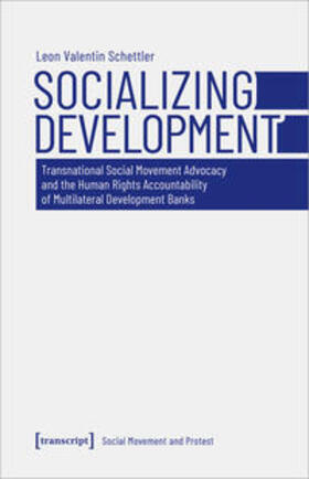 Schettler |  Socializing Development | eBook | Sack Fachmedien