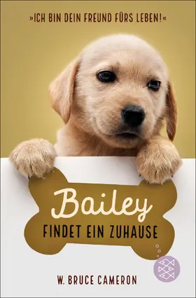 Cameron |  Bailey findet ein Zuhause | Buch |  Sack Fachmedien