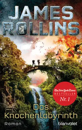 Rollins |  Das Knochenlabyrinth | Buch |  Sack Fachmedien