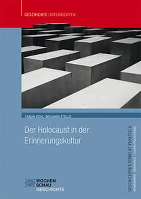 Gohl / Stello |  Der Holocaust in der Erinnerungskultur | Buch |  Sack Fachmedien