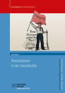 Wolff |  Revolutionen in der Geschichte | Buch |  Sack Fachmedien