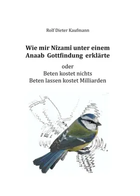 Kaufmann |  Wie mir Nîzamî unter einem Anaab Gottfindung erklärte | Buch |  Sack Fachmedien