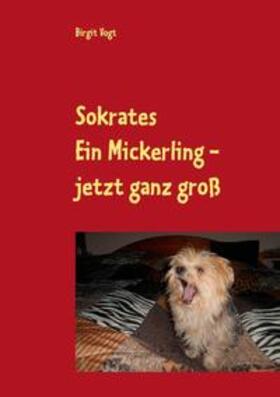 Vogt |  Sokrates  Ein Mickerling - jetzt ganz groß | Buch |  Sack Fachmedien
