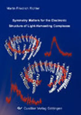 Richter |  Symmetry Matters for the Electronic Structure of Light- Harvesting | eBook | Sack Fachmedien